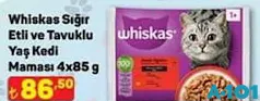 WHİSKAS YAŞ KEDİ MAMASI 4X85 G fiyat ve kampanya bilgisi